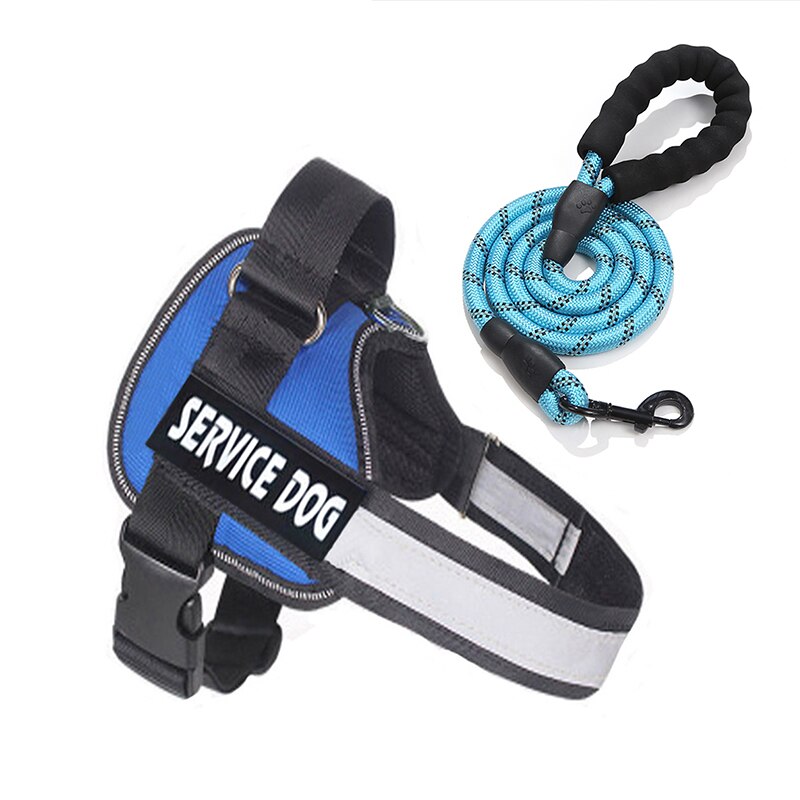 Peitoral e Coleira para Cachorro - Service Dog